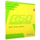 andro Rasanter R 50