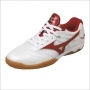 Mizuno Wave Drive